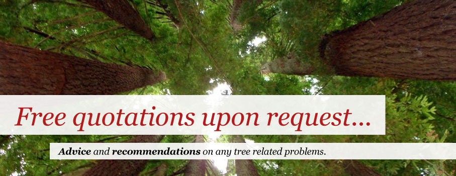 Free quotations upon request