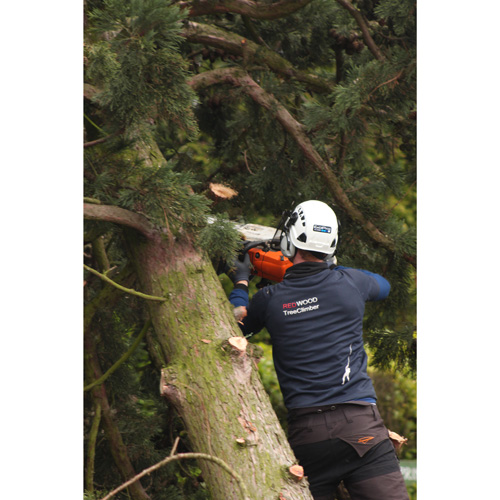 Redwood Tree Care