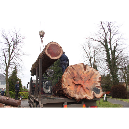Redwood Tree Care
