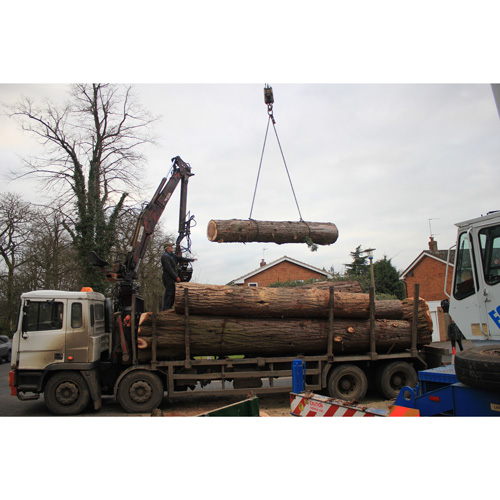Redwood Tree Care